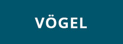 voegel