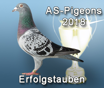 Erfolgstauben2018