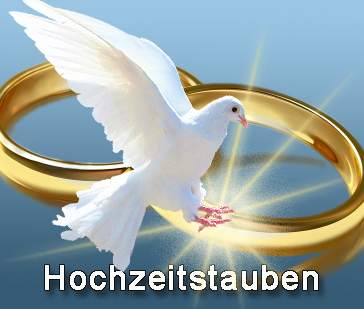 Hochzeitstauben